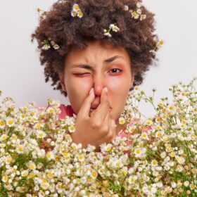 Les allergies saisonnières